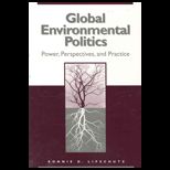 Global Environmental Politics : Power, Perspectives, and Practice