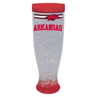 University of Arkansas Razorbacks Ice Pilsner Glass