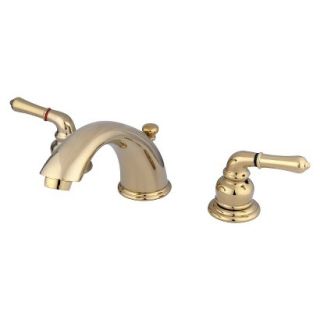 Widespead Polished Brass Bathroom Faucet
