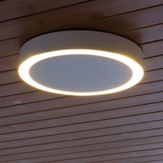 Amigo Medium Indoor Outdoor Ceiling Light