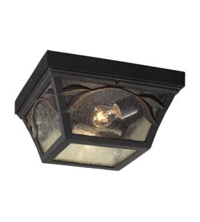 Hamilton Park 2 Light Outdoor Ceiling Lights in Weathered Charcoal 42046/2