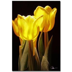 Trademark Fine Art 22 in. x 32 in. Yellow Tulips III Canvas Art MG0147 C2232GG