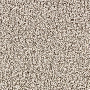 Martha Stewart Living Beechwood Gray Squirrel   6 in. x 9 in. Take Home Carpet Sample DISCONTINUED 846243