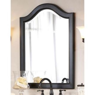 Home Decorators Collection Camille 25 in. W Mirror in Antique Black 0572100210
