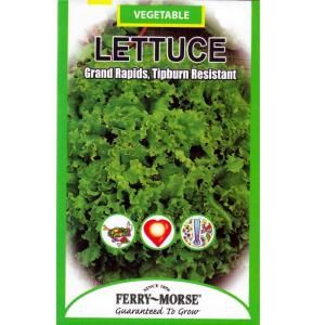 Ferry Morse Lettuce Grand Rapids Tipburn Resistant Seed 1304