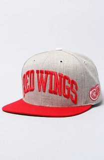 Mitchell & Ness The Detroit Red Wings Basic Arch Snapback Hat in Gray