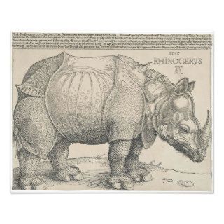Rhinoceros, Woodcut by Albrecht Durer Photograph