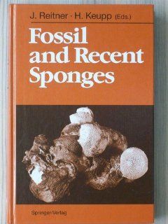 Fossil and Recent Sponges (9780387525099) J. Reitner, H. Keupp Books