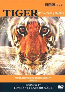Tiger: Spy in the Jungle [ NON USA FORMAT, PAL, Reg.2.4 Import   United Kingdom ]: David Attenborough, John Downer, CategoryDocumentaries, CategoryUK, film movie Documentary Documentaries, Tiger: Spy in the Jungle: Movies & TV