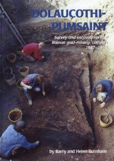 Dolaucothi Pumsaint: Survey and Excavation at a Roman gold mining complex 1987 1999 (9781842171127): Barry C. Burnham, Helen Burnham: Books