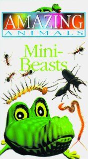 Mini Beasts (Amazing Animals): DK Publishing: 9780789419514: Books