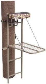 AGT 18' Vertical Ladder Tree Stand : Hunting Tree Stands : Sports & Outdoors