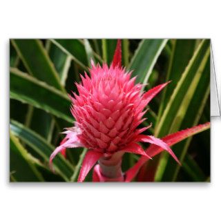 Red Pineapple 2 Greeting Card