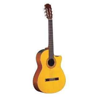 Takamine G Series EG124C Acoustic Electric Classical Guitar: Musical Instruments