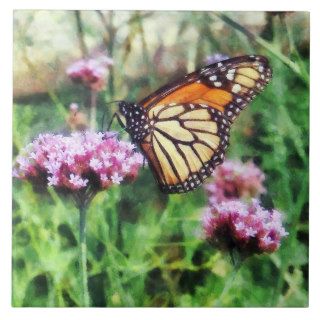 Monarch Butterfly on Pink Lantana Tile