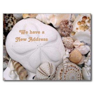 Seashore New Address Sea Biscuit & Shells Postcard