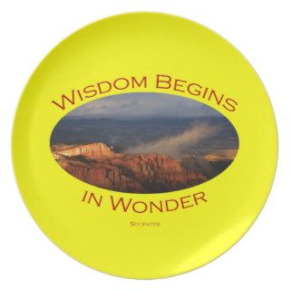 wisdom begins in wonder dinner plate