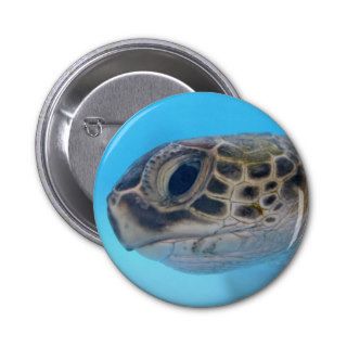 Green Sea Turtle pin