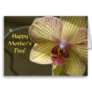 Yellow Orchid Mothers Day Card