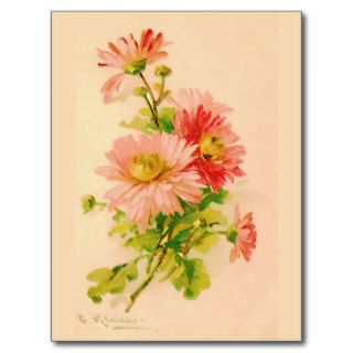 Vintage Spring Bouquet Postcard