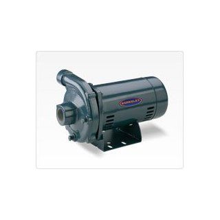 Berkeley S39522 Pump: Industrial & Scientific