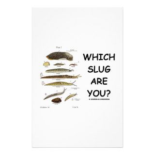 Which Slug Are You? (Different Types Of Slugs) Stationery Paper