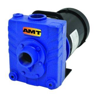 AMT Pump 282B 95 Self Priming Centrifugal Pump, Cast Iron, 2 HP, 3 Phase, 230/460V, Curve C, 1 1/2" NPT Female Suction & Discharge Ports: Industrial Centrifugal Pumps: Industrial & Scientific