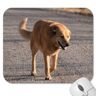 Mousepad   9.25" x 7.75" Designer Mouse Pads   Dog/Dogs (MPDO 295): Computers & Accessories