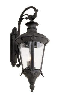 Trans Globe 40162 SWI Imperial Leaf   Two Light Outdoor Wall Mount, Swedish Iron Finish with Clear Seeded Glass   Wall Sconces  