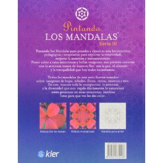 pintando los mandalas / painting mandalas (Spanish Edition): Viviana Mattei: 9789501730128: Books