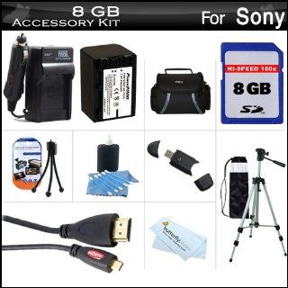 8GB Accessory Kit For Sony HDR CX380, HDR CX380/B HD Camcorder Includes 8GB High Speed SD Memory Card + Replacement (2300Mah) NP FV70 Battery + Ac / DC Charger + Deluxe Case + 50 Tripod + Micro HDMI Cable + USB 2.0 SD Reader + More : Camera & Photo