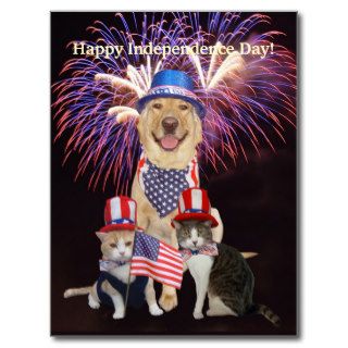 Funny Dog/Cat July 4th Post Card
