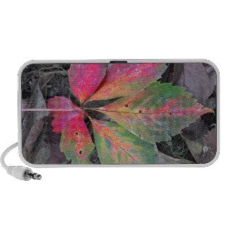 Brilliance Among the Grey   Autumn Leaf Travelling Speaker