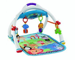 Fisher Price Deluxe Apptivity Gym : Baby Toys : Baby