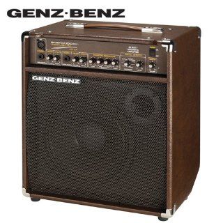 Genz Benz Shenandoah SHEN JRLT 45 Watt 1x 10 Acoustic Guitar Amplifier (SHEN JRLT) and Planet Waves/GO DPS 16 Pick Sampler (PW SAMPLER): Musical Instruments