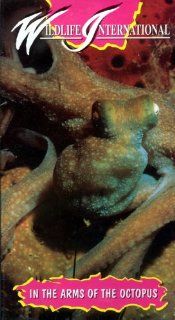 Wildlife International   In The Arms Of The Octopus: Larry Gitnick: Movies & TV