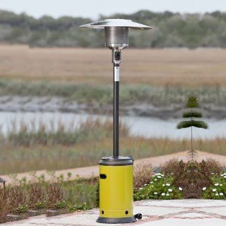 WT Living Mocha And Chartreuse Green Powder Coated Outdoor Patio Heater: Home & Kitchen