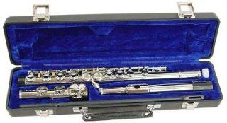 Hisonic Signature Series 2810N Closed 16 hole Flute: Musical Instruments