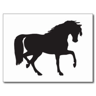 Horse Silhouette   Change background color Post Cards