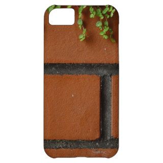 Another Brick in the Wall Case For iPhone 5C