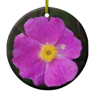 pink wild rose christmas tree ornaments