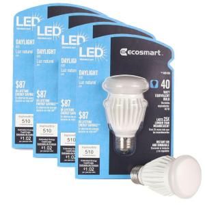 EcoSmart 40W Equivalent Daylight (5000K) A19 LED Light Bulb (4 Pack) DISCONTINUED ECS A19 CW V1 120