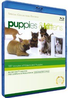 Puppies & Kittens [Blu ray]: Timm Hendrik Hogerzeil: Movies & TV
