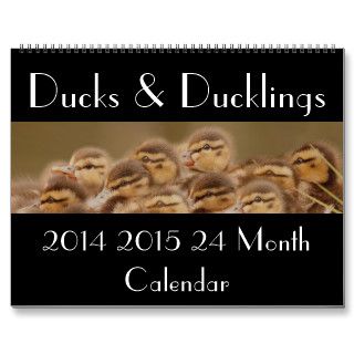2014 2015 Ducks & Ducklings Photography Calendar