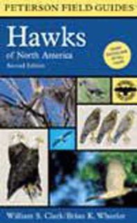 Peterson Books   Hawks   Field Guide to 39 Species of North America : Everything Else