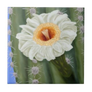 Saguaro Cactus Flower Ceramic Tiles