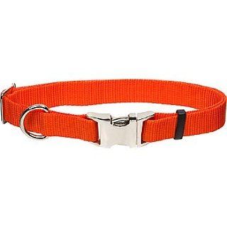 Coastal Pet Metal Buckle Nylon Adjustable Personalized Dog Collar in Orange, 5/8" Width : Pet Supplies