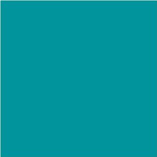 12" x 20 ft Roll of Matte 631 Teal Repositionable Adhesive Backed Vinyl for Craft Cutters, Punches and Vinyl Sign Cutters ? Vinyl Ease V1555