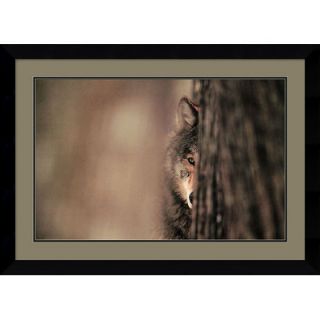 Art Gray Wolf by Jim Brandenburg, Framed Print Art   24.87 x 34.37