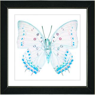 Studio Works Modern White Butterfly Framed Fine Art Giclee Print